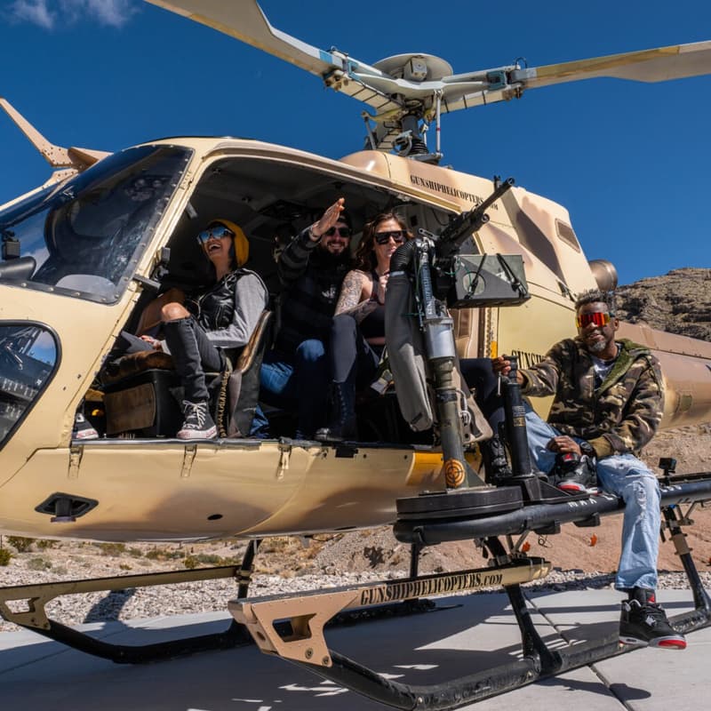 Cover Image for Gunship Helicopters
