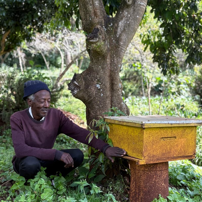 Cover Image for Introduction to Beekeeping - with Kamiti