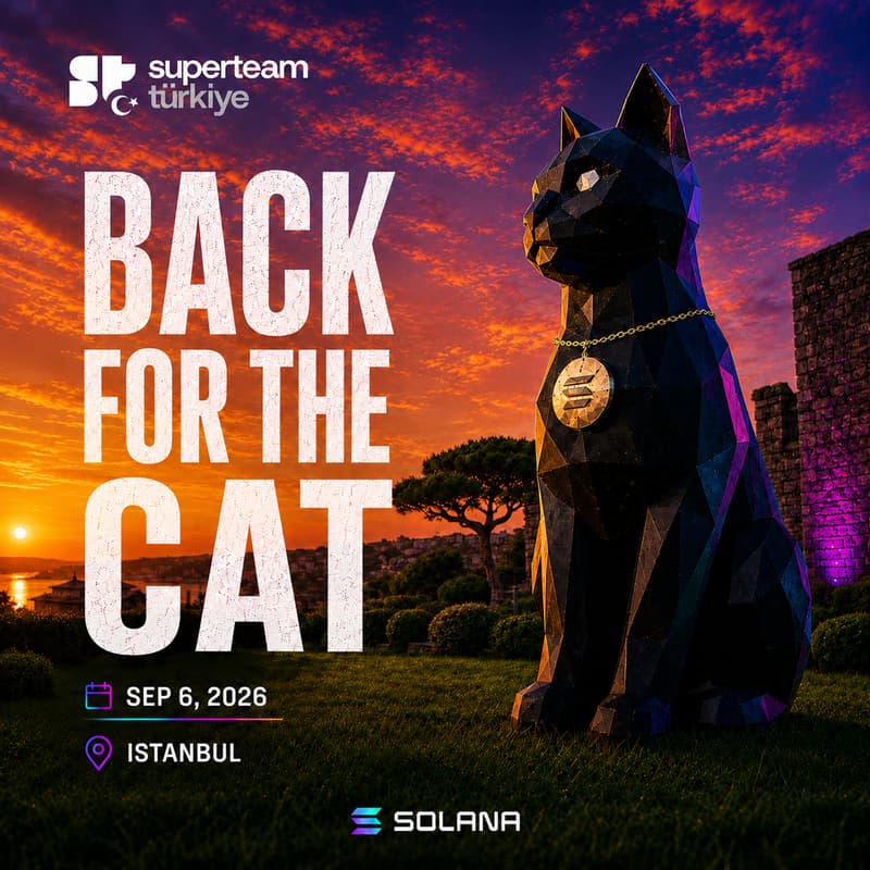 Cover Image for Back for the Cat 🔥
