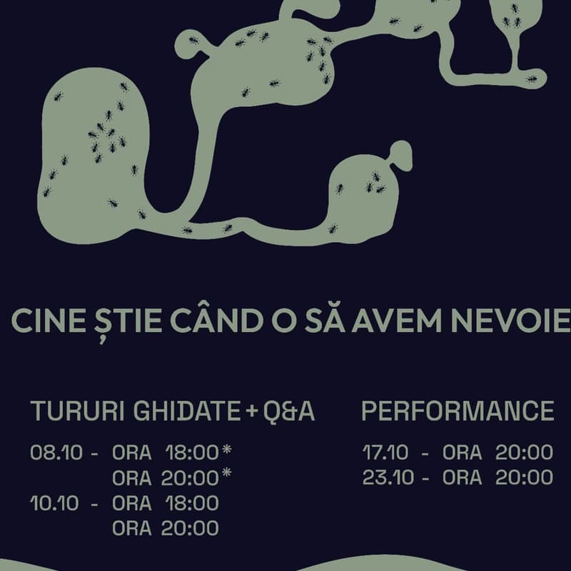 Cover Image for Performance /Sac Berthelot