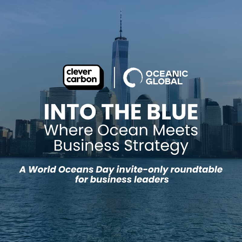 Cover Image for Into the Blue: Where Ocean Meets Business Strategy
