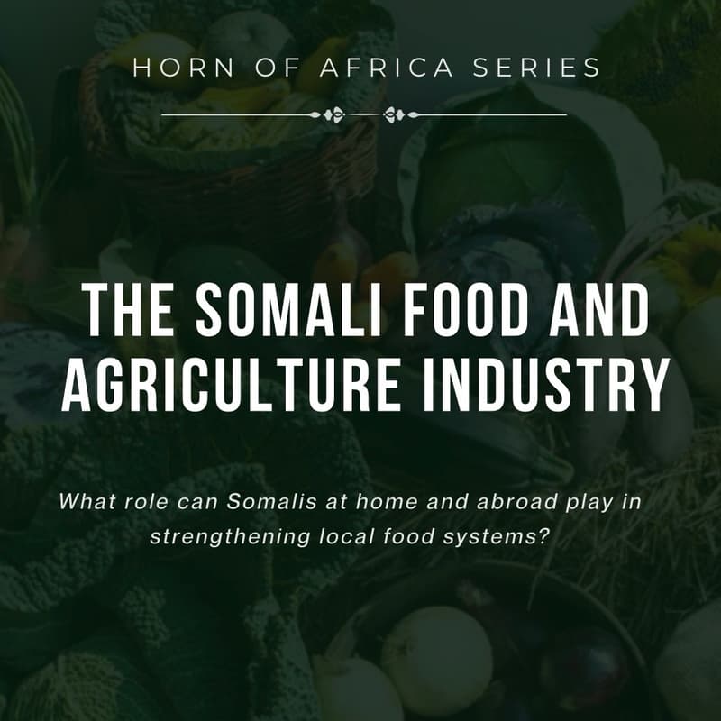 Cover Image for The Somali Food and Agriculture industry