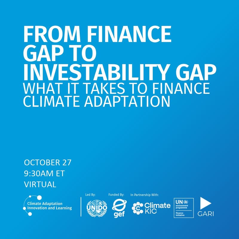 Cover Image for From Finance Gap to Investability Gap: What It Takes to Finance Climate Adaptation