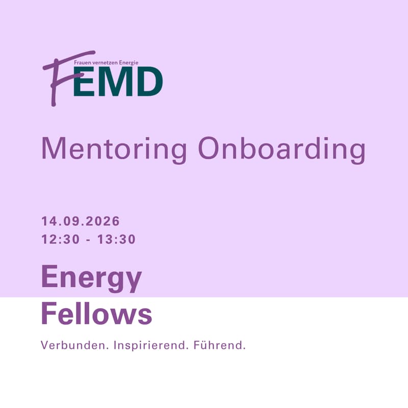 Cover Image for Energy Fellows - Mentoring Onboarding