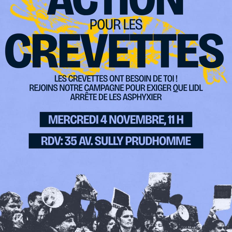 Cover Image for Manifestation devant le siège de Lidl