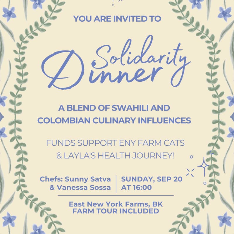 Cover Image for Solidarity Dinner for Cats!