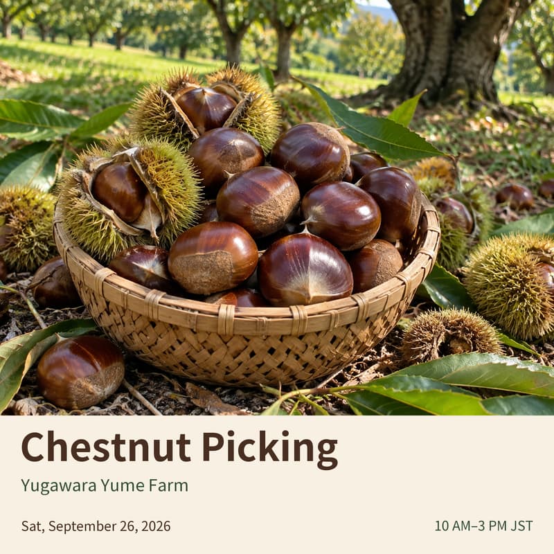 Cover Image for 湯河原ゆめファーム 栗ひろい / Chestnut Picking at Yume Farm