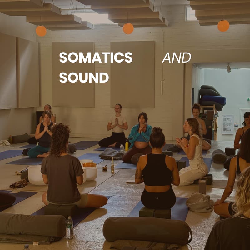 Cover Image for Somatics and Sound ๐