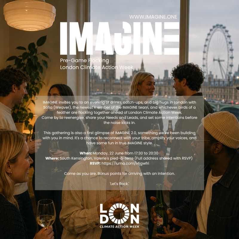 Cover Image for IMAGINE Pre-Game Flocking - London Climate Action Week