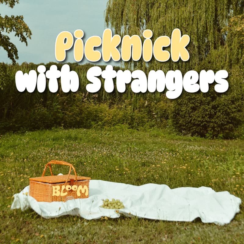 Cover Image for Picknick with Strangers