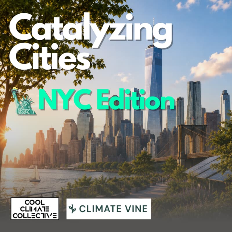 Cover Image for Catalyzing Cities (NYC Edition)