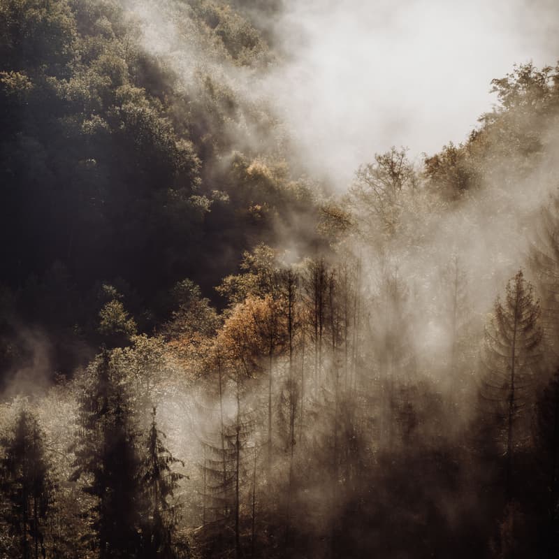 Cover Image for Geocidal Ethics