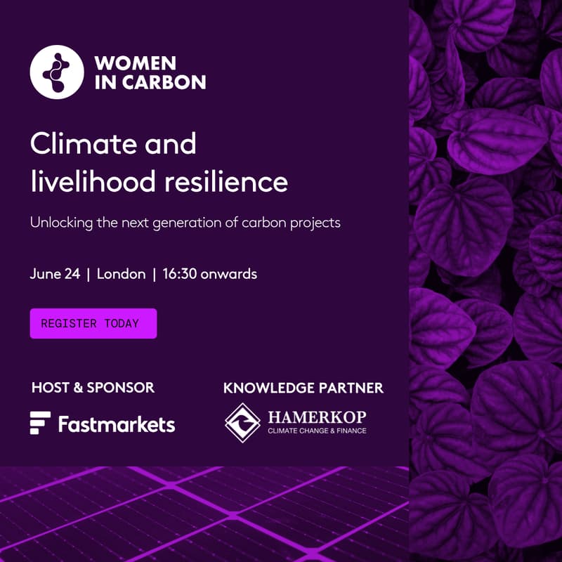 Cover Image for Climate and Livelihood Resilience: Unlocking the next generation of carbon projects