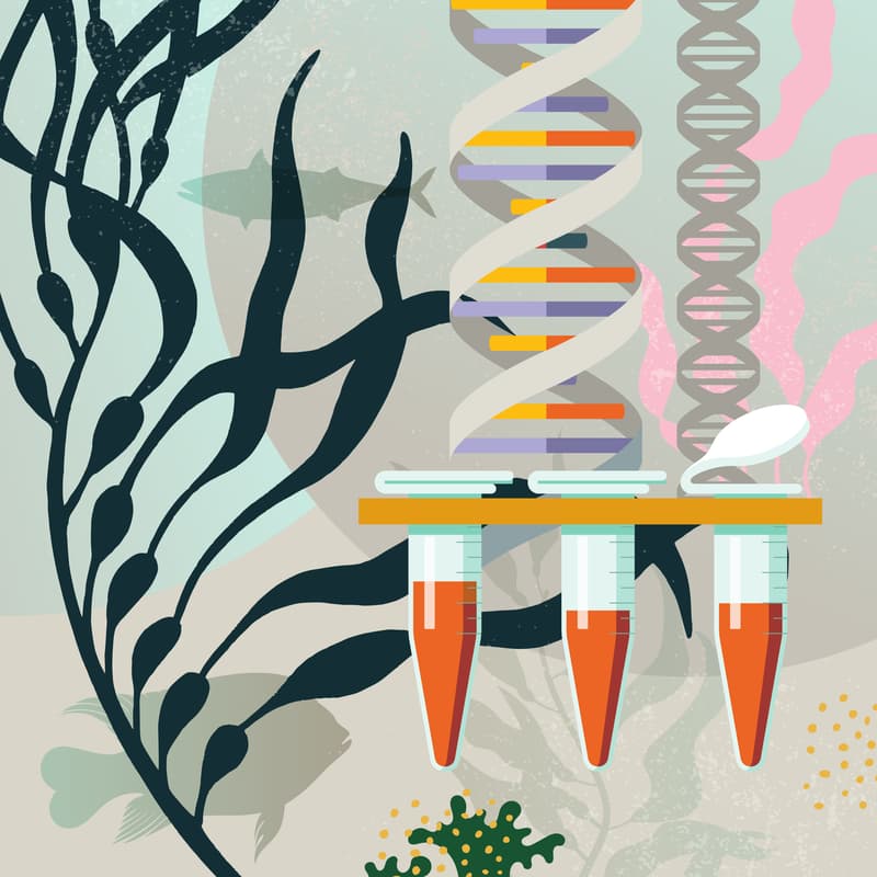 Cover Image for San Diego Zoo Wildlife Alliance & Scripps Institution of Oceanography: How are San Diego Scientists Working to Safeguard Earth's Wildlife?