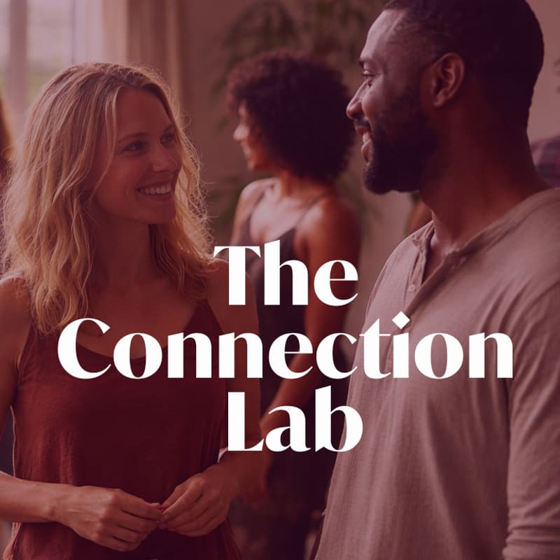 Cover Image for The Connection Lab