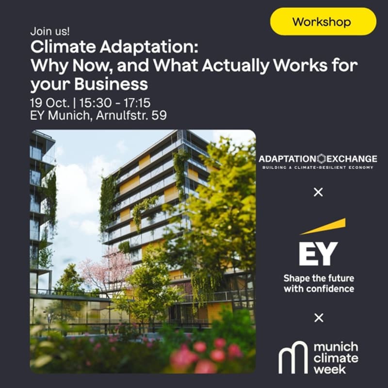 Cover Image for Climate Adaptation: Why Now, and What Actually Works for your Business