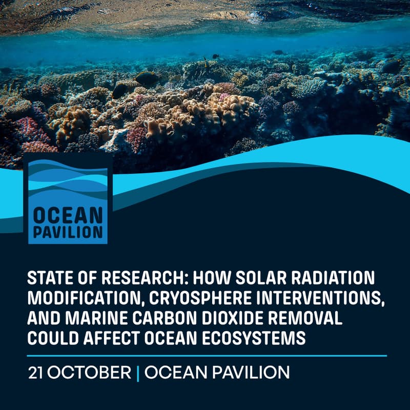 Cover Image for State of Research: How SRM, Cryosphere Interventions, and MCDR Could Affect Ocean Ecosystems