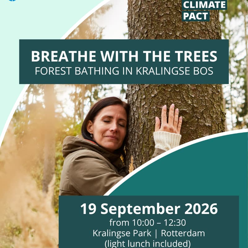 Cover Image for Breathe with the trees: Forest Bathing in Kralingse Bos