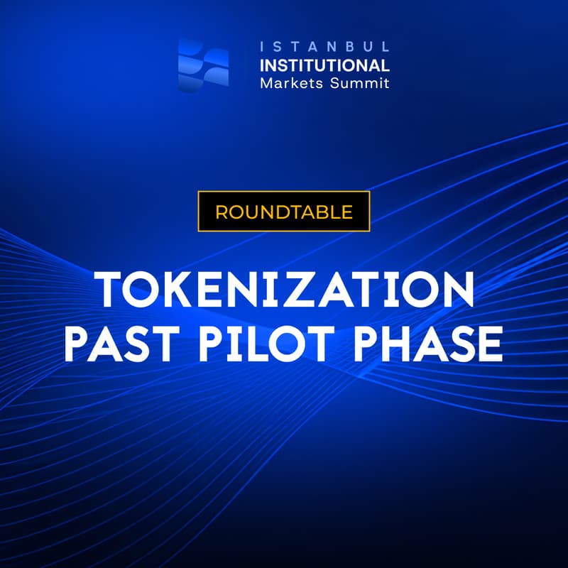 Cover Image for IIMS Roundtable: Tokenization Past Pilot Phase