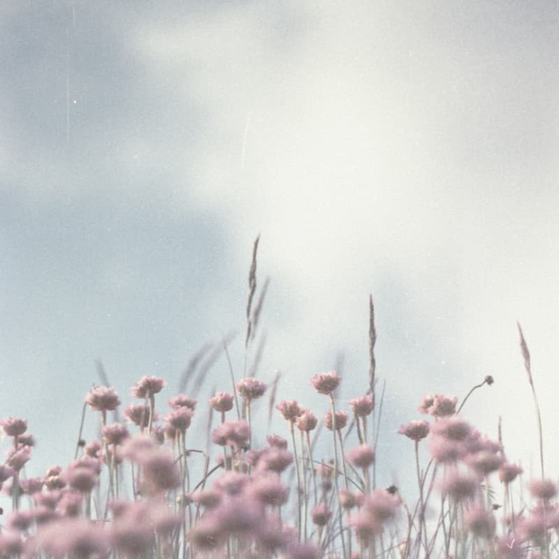 Cover Image for Guided Advanced Pranic Healing Self Practice