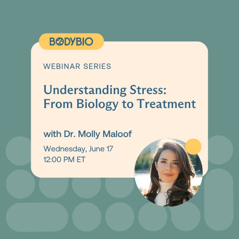 Cover Image for Understanding Stress: From Biology to Treatment