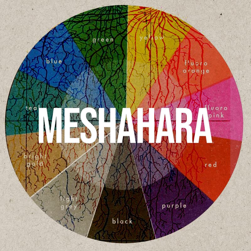 Cover Image for Meshahara- Digital Art Exhibition
