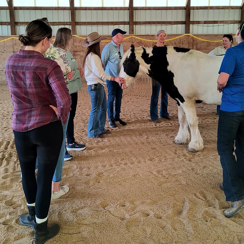 Cover Image for Medicine Horse Happy Hour at the Ranch