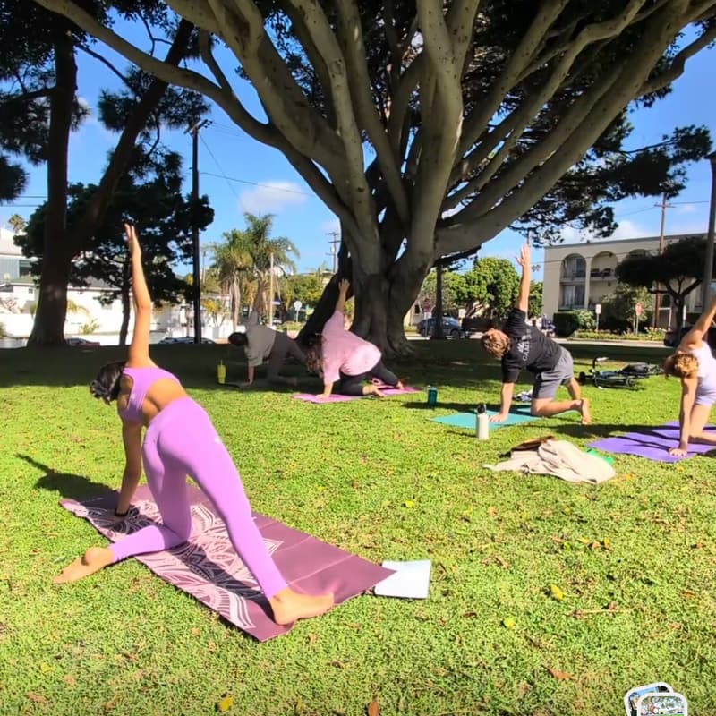 Cover Image for Prana in the Park - A Community Yoga Flow (11.0)
