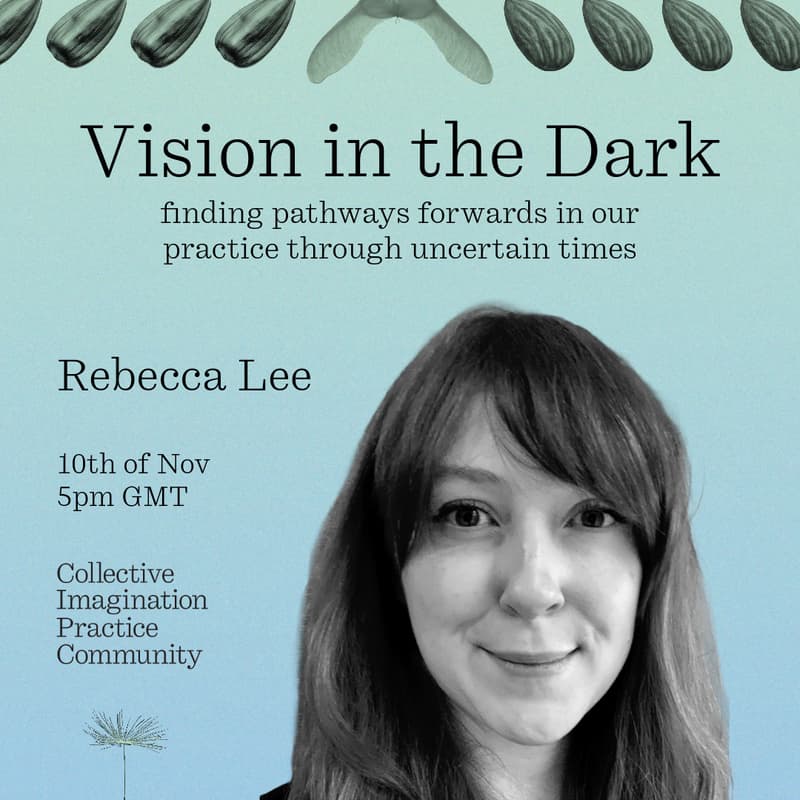 Cover Image for Vision in the Dark