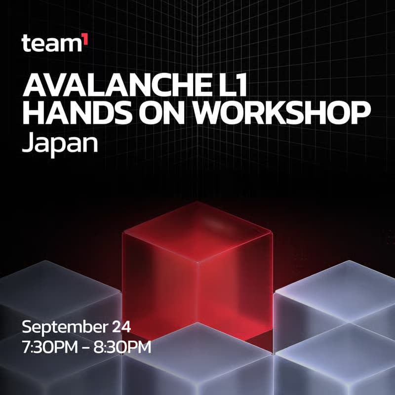 Cover Image for Team 1 Japan Workshop: Avalanche L1 ハンズオン
