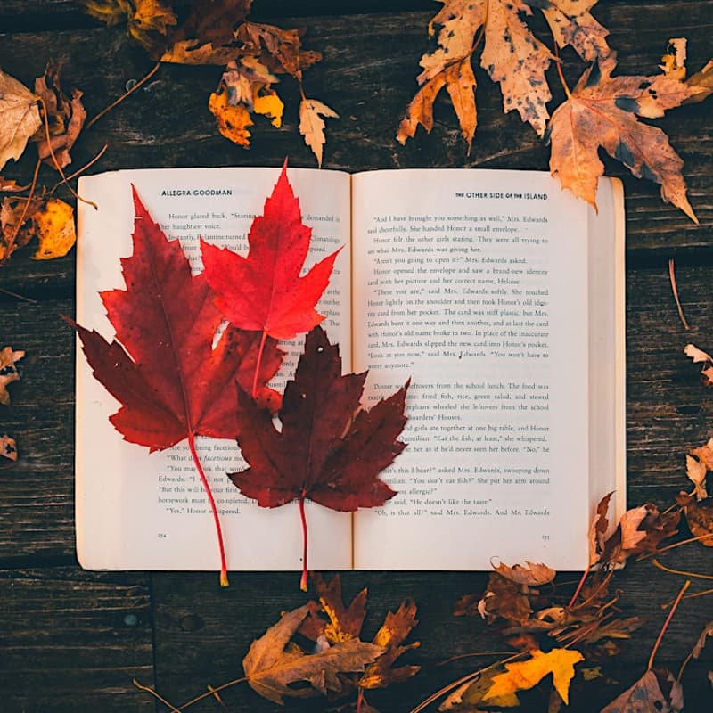 Cover Image for 🍂Offline Women Walk and Leaves Pressing