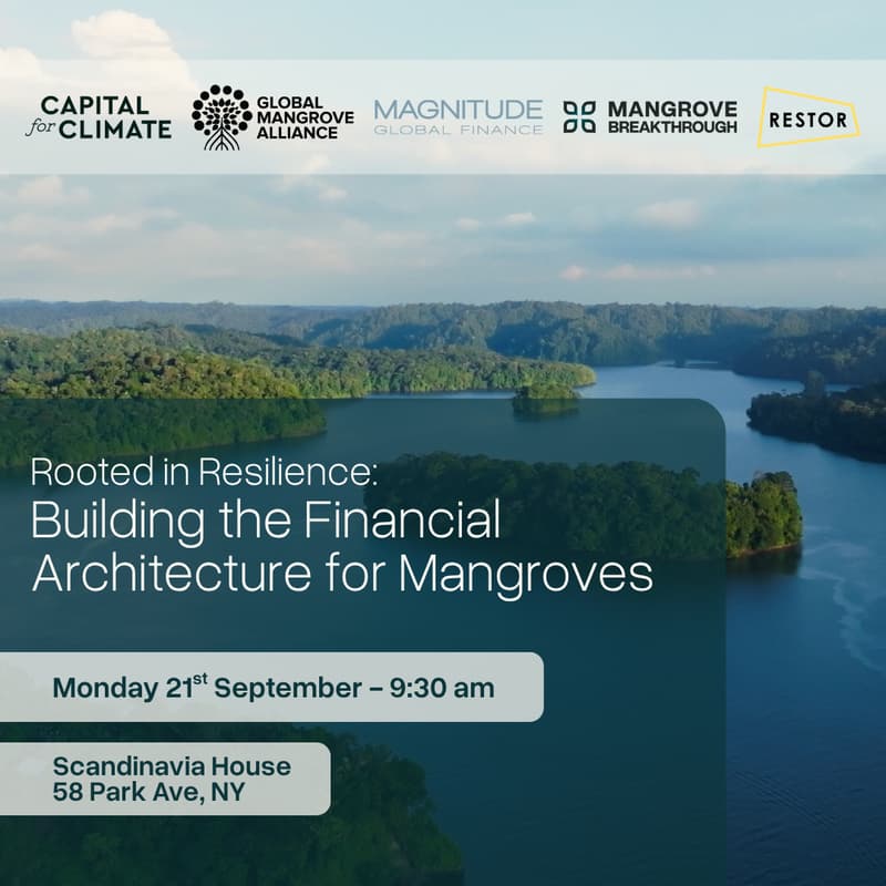 Cover Image for Rooted in Resilience: Building the Financial Architecture for Mangroves