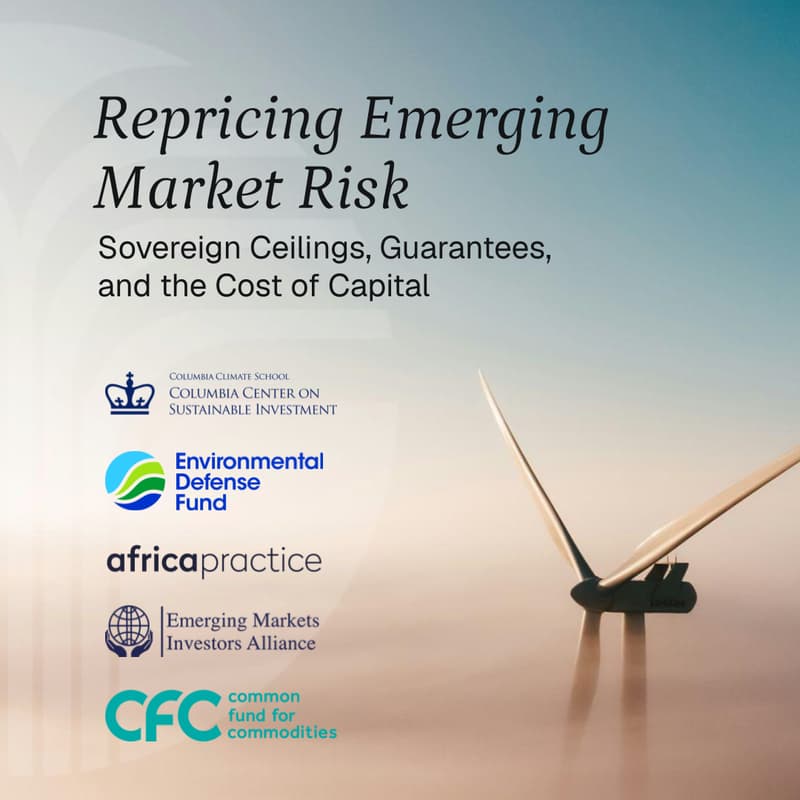 Cover Image for Repricing Emerging Market Risk: Sovereign Ceilings, Guarantees, and the Cost of Capital
