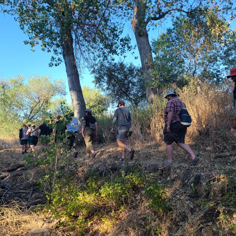 Cover Image for Queer Nature Walk with All Outdoors Collective - New Hampshire