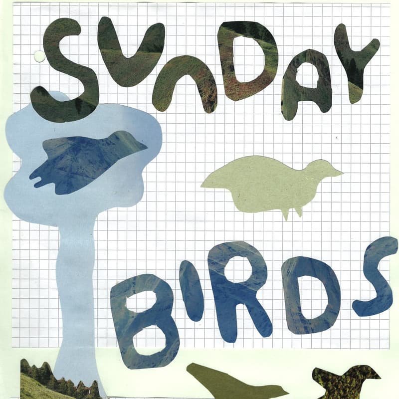 Cover Image for Sunday Birds with Mind, Body + Earth