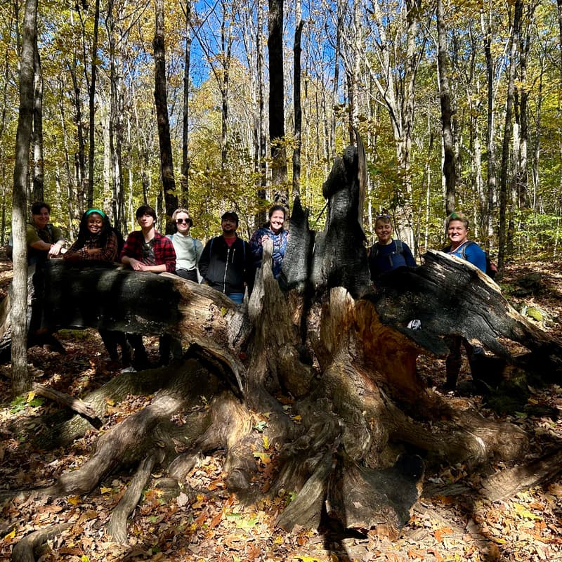 Cover Image for Mushroom Marvels and Fall Foliage - Connecticut