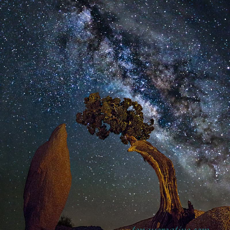 Cover Image for Dark Sky CXO Retreat