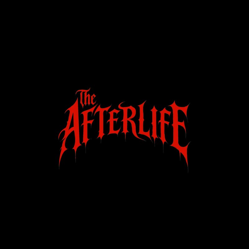 Cover Image for The Afterlife