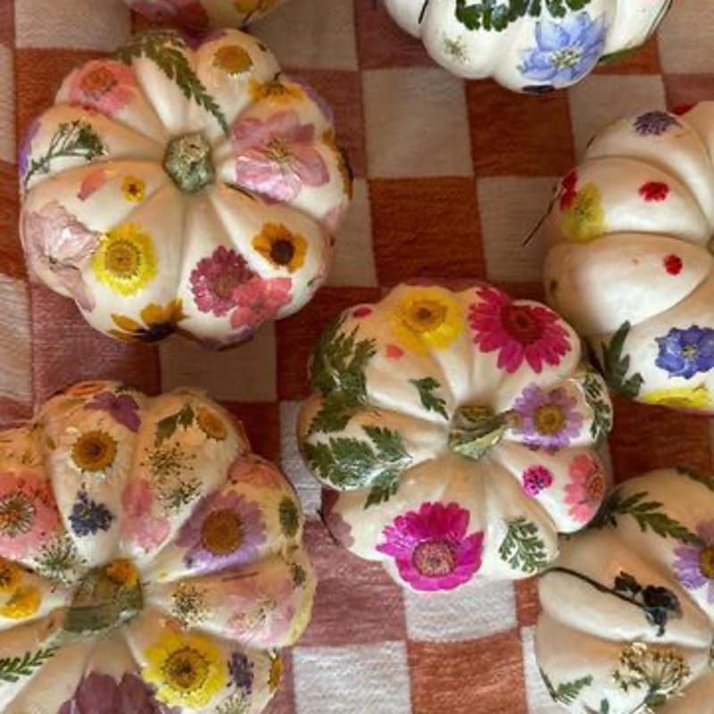 Cover Image for craft club: decoupage pumpkins