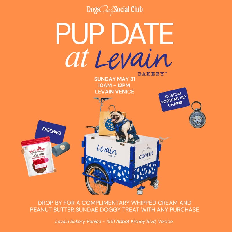 Cover Image for Pup Date at Levain Venice