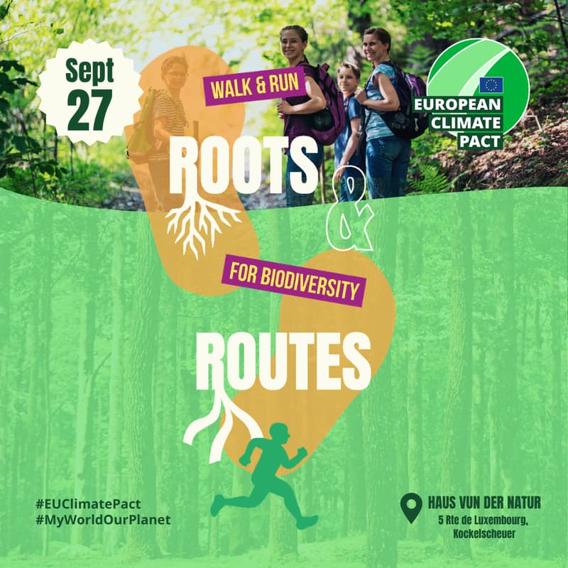 Cover Image for Roots & Routes: Walk and Run for Biodiversity