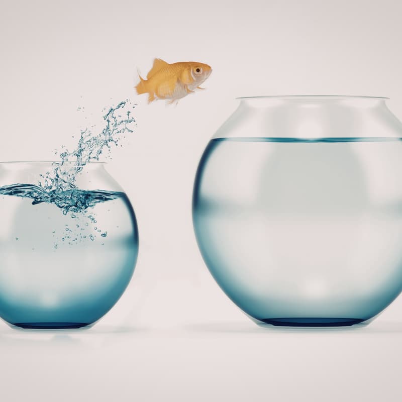 Cover Image for Why Transition Feels Harder Than It Should (Workshop 1 of 4)