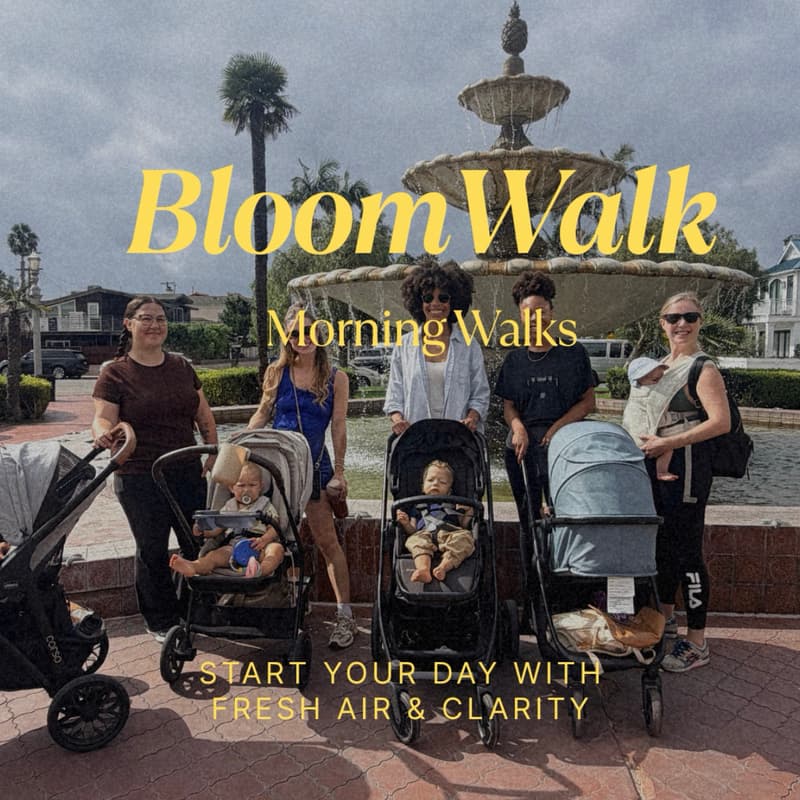 Cover Image for Bloom Walk