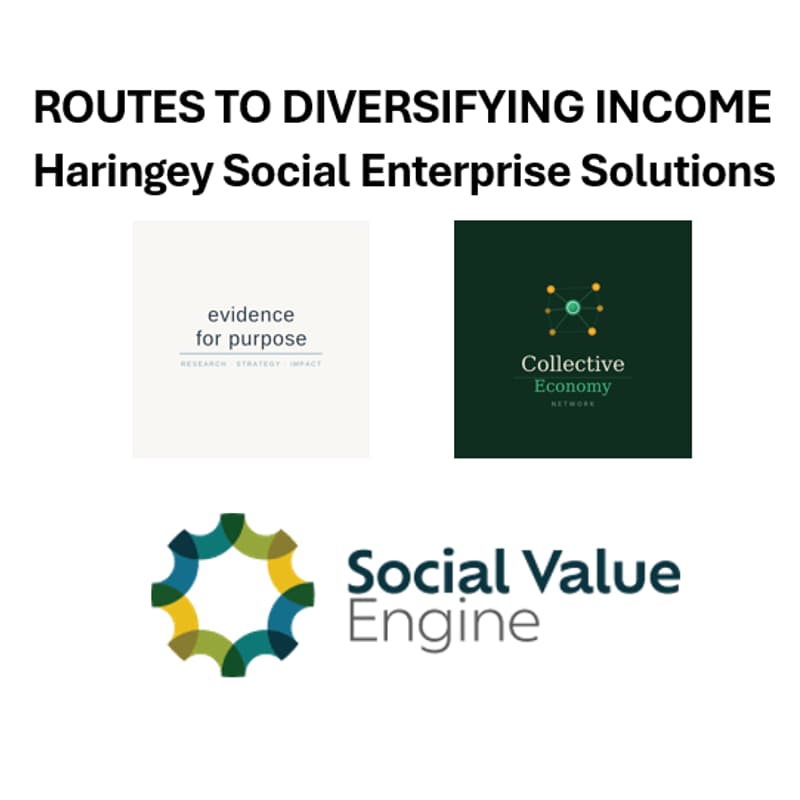 Cover Image for Routes to diversifying income - Haringey Social Enterprise Solutions