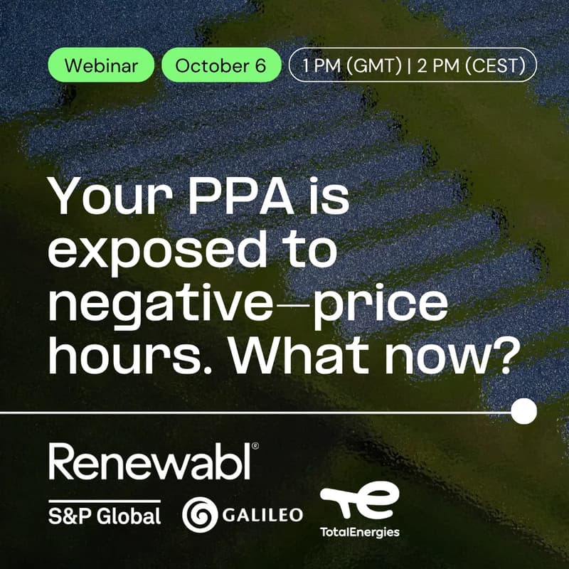 Cover Image for Your PPA is exposed to negative-price hours. What now?