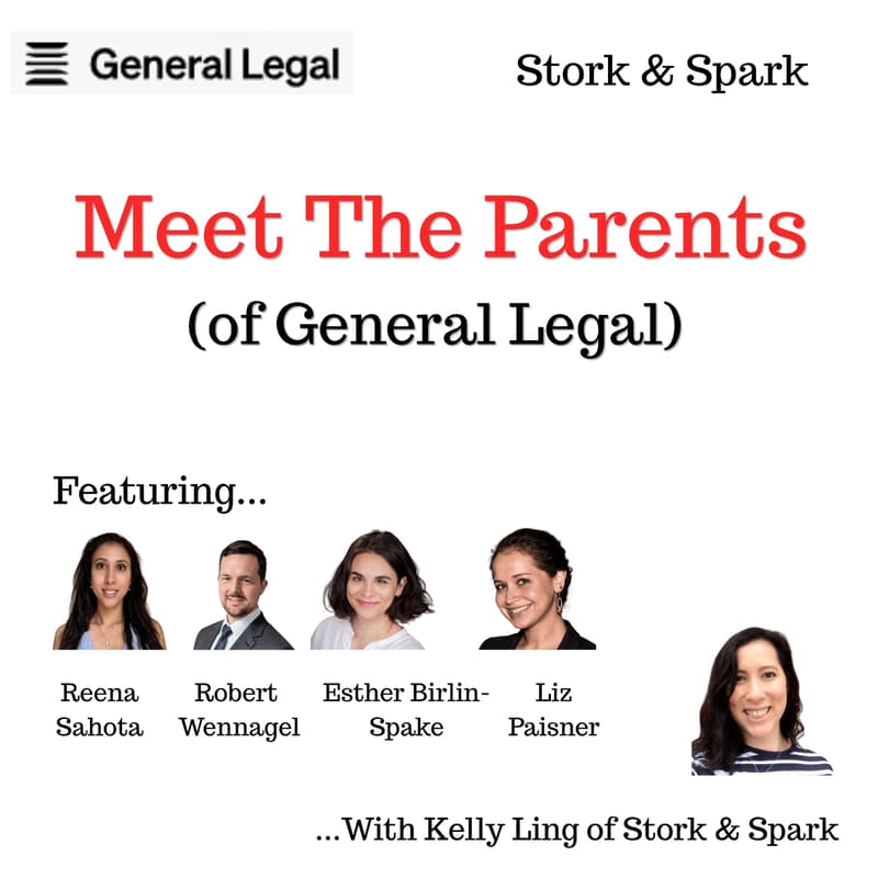 Cover Image for Meet the Parents (of General Legal) - Career Growth & Autonomy in Demanding Careers