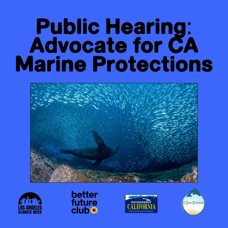 Cover Image for 🐋 MPA Public Hearing: Protect our CA Coasts!