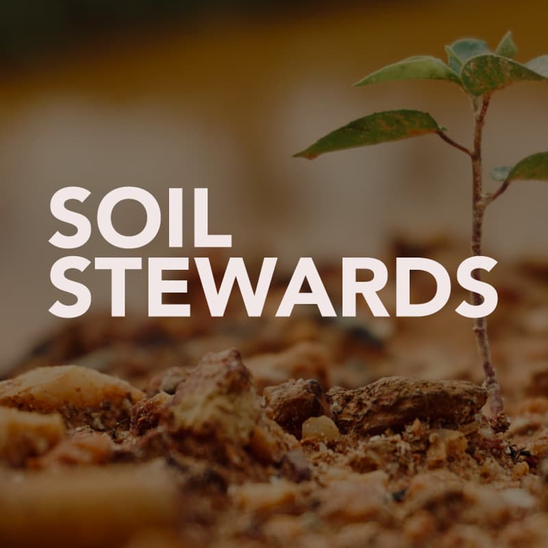 Cover Image for Soil Stewards: Introduction