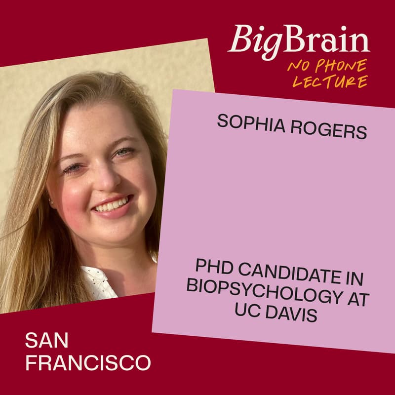 Cover Image for High Before Hello: Cannabis and the Developing Brain
