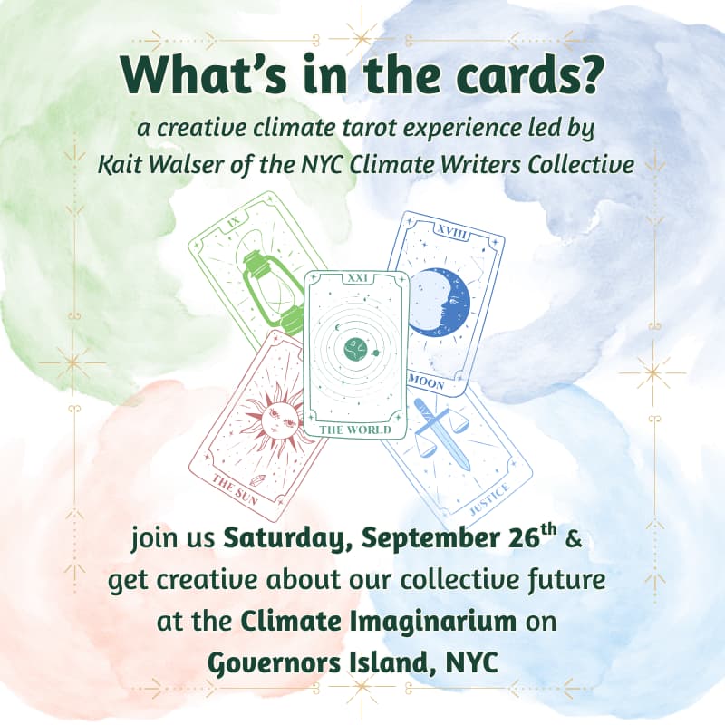 Cover Image for What's in the Cards? A Creative Climate Tarot Experience